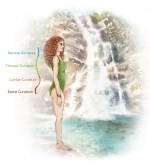 Spinal curves in tadasana, mountain pose